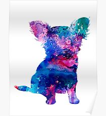 Chihuahua 5 Poster