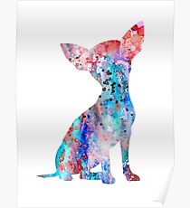 Chihuahua 8 Poster