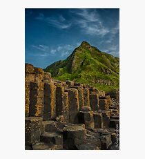 Algae-eye View Photographic Print