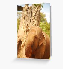 Elefante Greeting Card