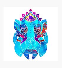 Ganesha Photographic Print
