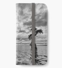 Out standing iPhone Wallet/Case/Skin