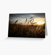 As The Sun Sets Greeting Card