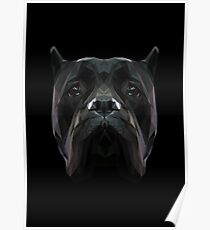 Cane Corso dog. Poster