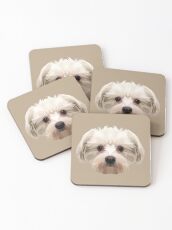 Maltese dog. Coasters