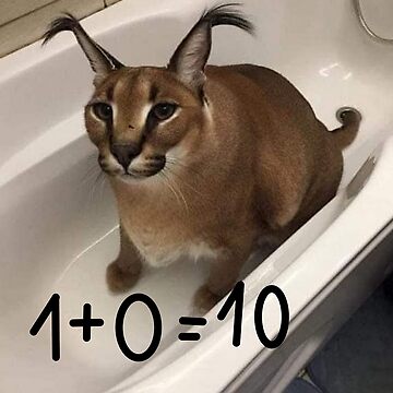 FLOPPA CAT \ CARACALS / GOOD AT MATH | Pin