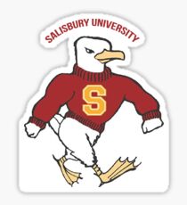 Pegatina Salisbury