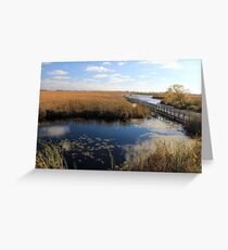 Marsh area under the sun Greeting Card
