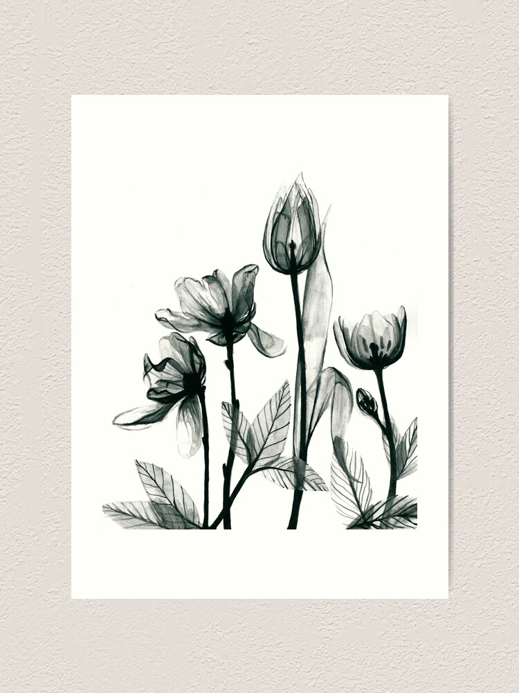 X,Ray Flowers 2