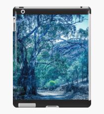 Cool Blue iPad Case/Skin