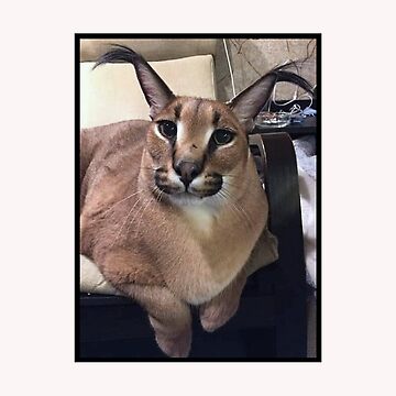 Big floppa  Caracal cat, Caracal, Cat tshirt