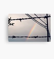 Barbedwire Rainbow Canvas Print