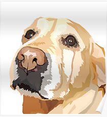 Yellow Lab Poster