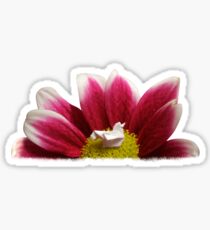 Flower Nest Sticker