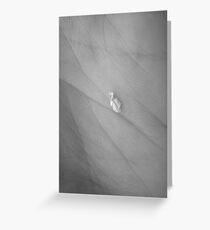 Penguin in a Snow Storm Greeting Card