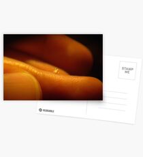 Born from the Cell Postcards