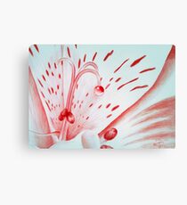 Drawing Day Red Bubble Nectar Canvas Print