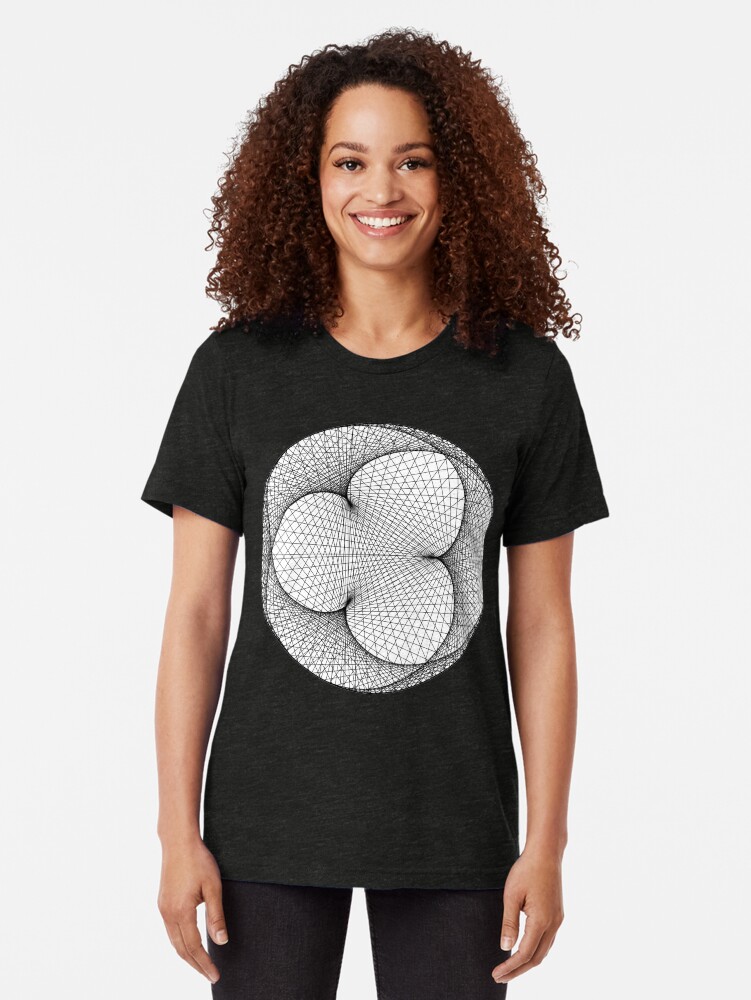 Alternate view of Modulo n = 294.09 m = 149.548 Tri-blend T-Shirt