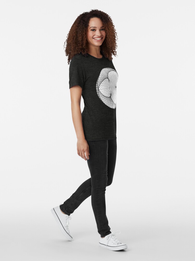 Alternate view of Modulo n = 294.09 m = 149.548 Tri-blend T-Shirt