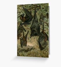 Colony of Bats Greeting Card