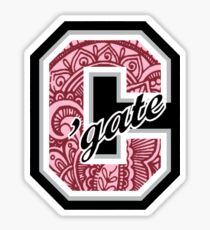 'gate paisley Sticker