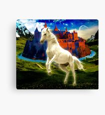 White white horse Canvas Print