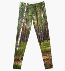Birch forest Leggings