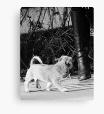 Giants Canvas Print