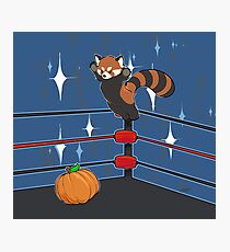Panda Bodyslam Photographic Print