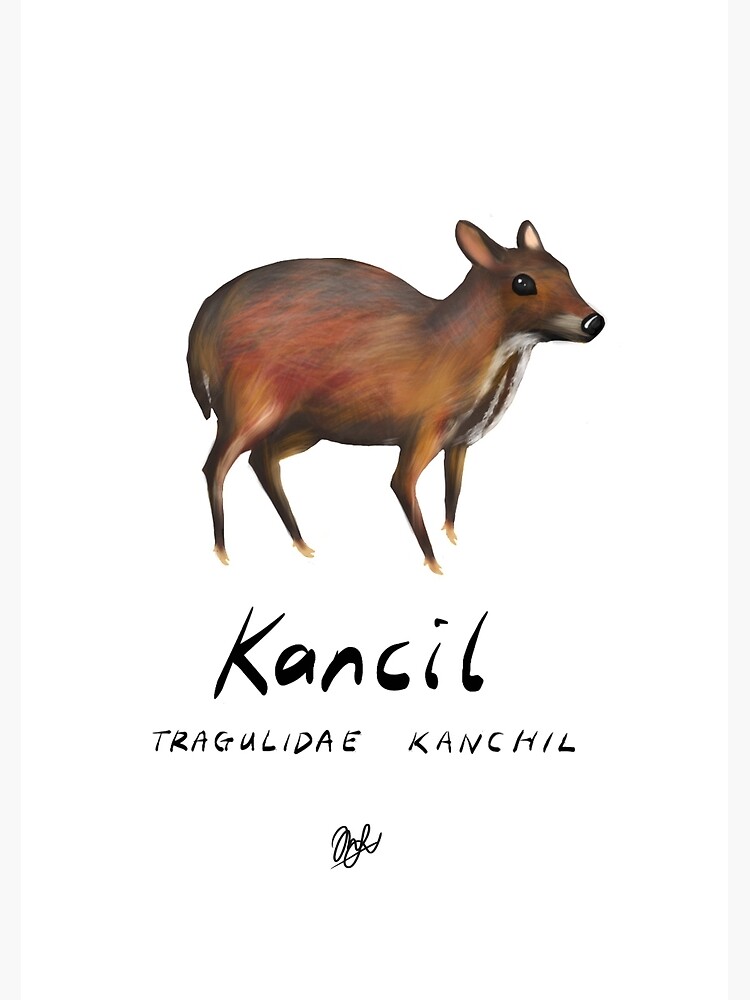 animals of malaysia kancilmousedeer spiral notebook by mearecus