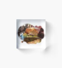 Existence Acrylic Block