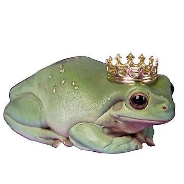 Frog With Crown, Cute Sitting Realistic Frog with Crow, Prince Frog |  Sticker