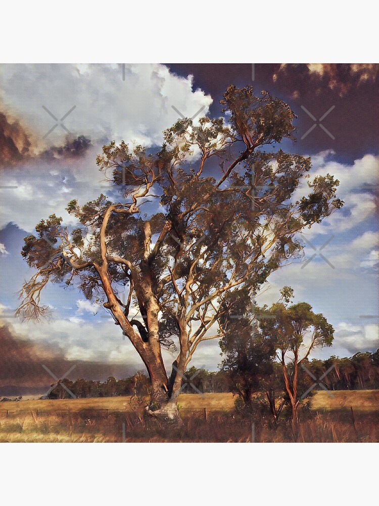 Australian Windswept Tree 01 by f4foto