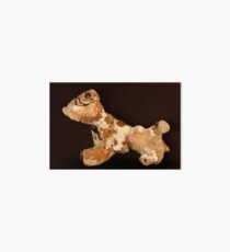 Pet Rock Art Board