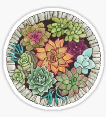 succulents in a stone circle Sticker