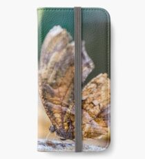 Macro Photo Old Butterfly iPhone Wallet/Case/Skin