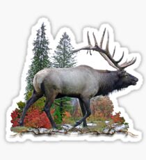 Bull elk Sticker