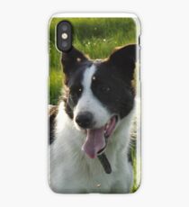 Spot The Dog iPhone Case