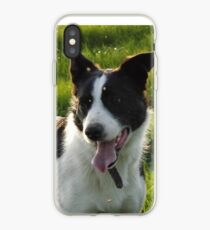Spot The Dog iPhone Case