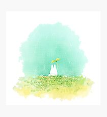 Small Totoro Photographic Print
