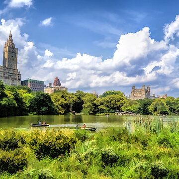 New York City Central Park Bethesda Fountain Blossoms by Christopher Arndt