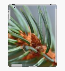 Needlework iPad Case/Skin