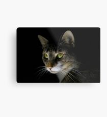 Caturday Portait Metal Print