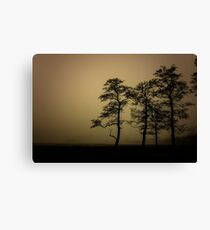 The dark trees at the forest edge. Sepia dark background Canvas Print