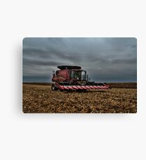 12 Row Head Canvas Print