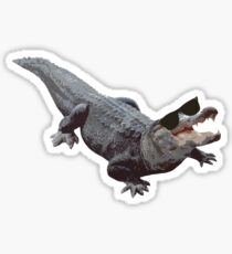 "Cool Gator" Sticker
