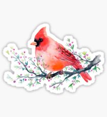 Watercolour red cardinal bird Sticker