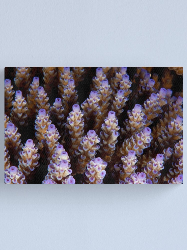Alternate view of Towers Canvas Print