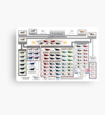 Caridina cantonensis Family Tree Metal Print