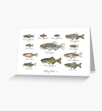 Twelve Danios Greeting Card